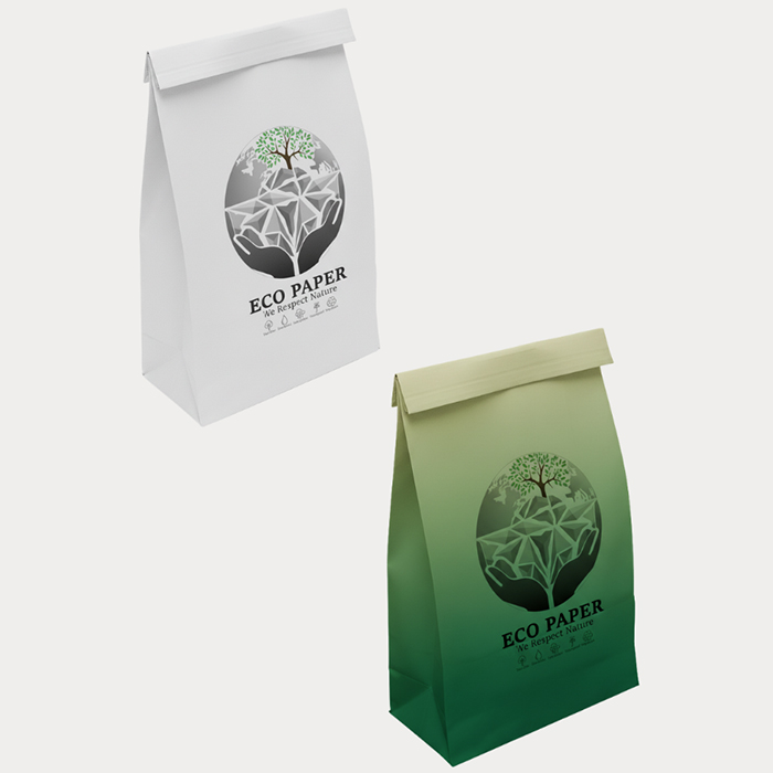 Paper Bag Product Image